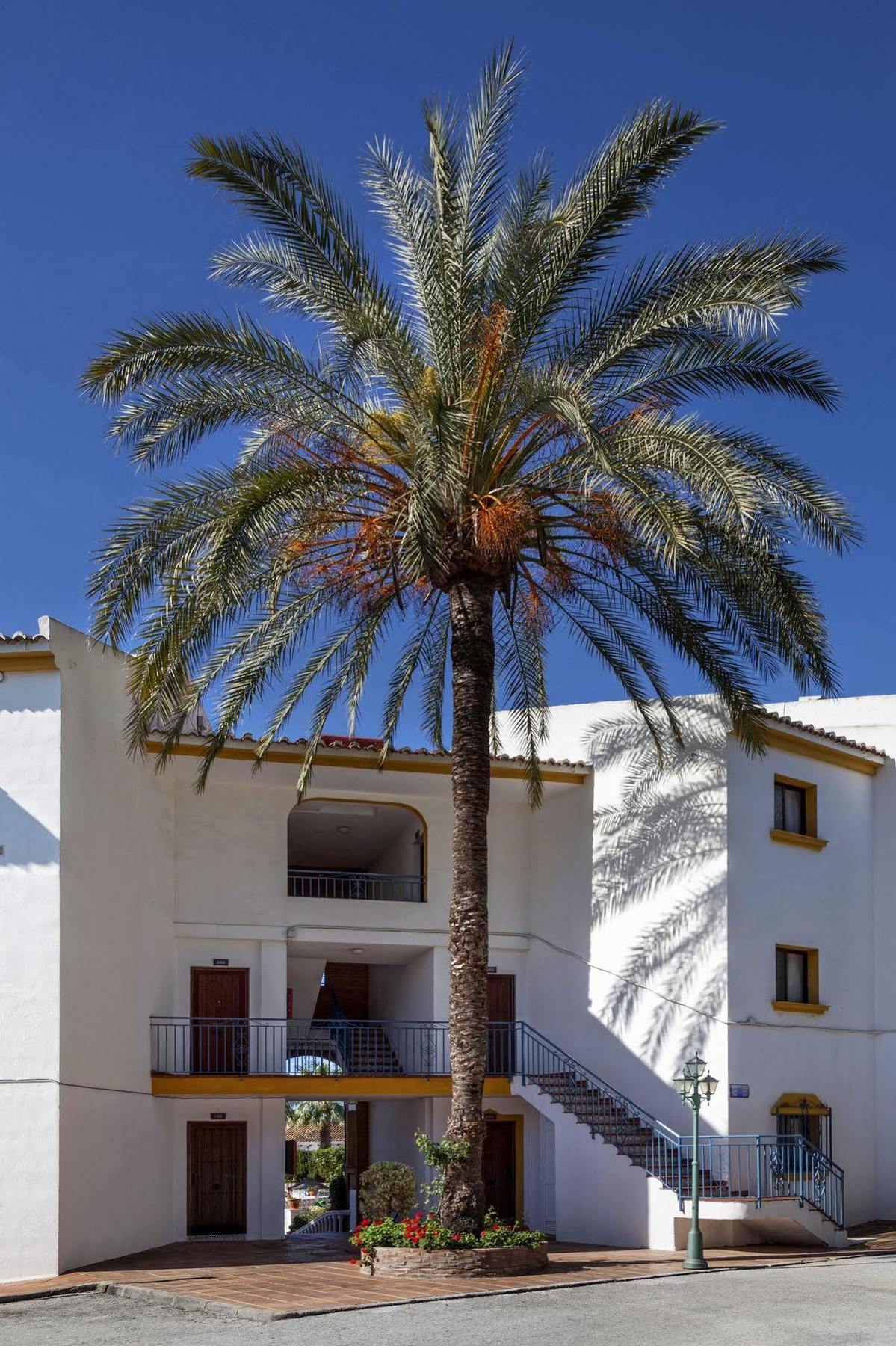 Crown Resorts Club La Riviera La Cala De Mijas Exterior photo